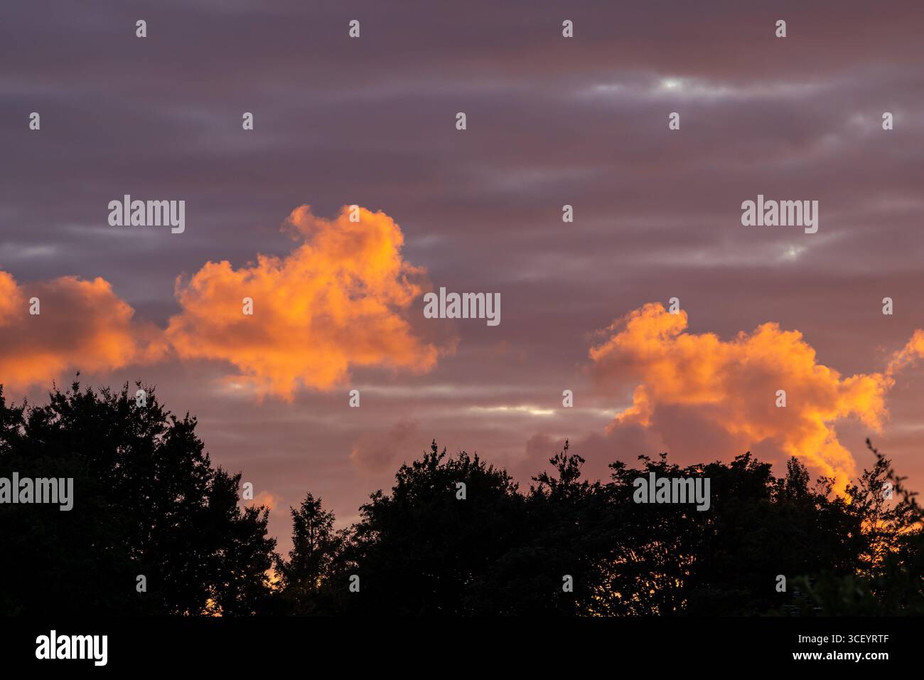 Nuvole arancioni scintillanti sopra gli alberi sagomati al tramonto Foto Stock