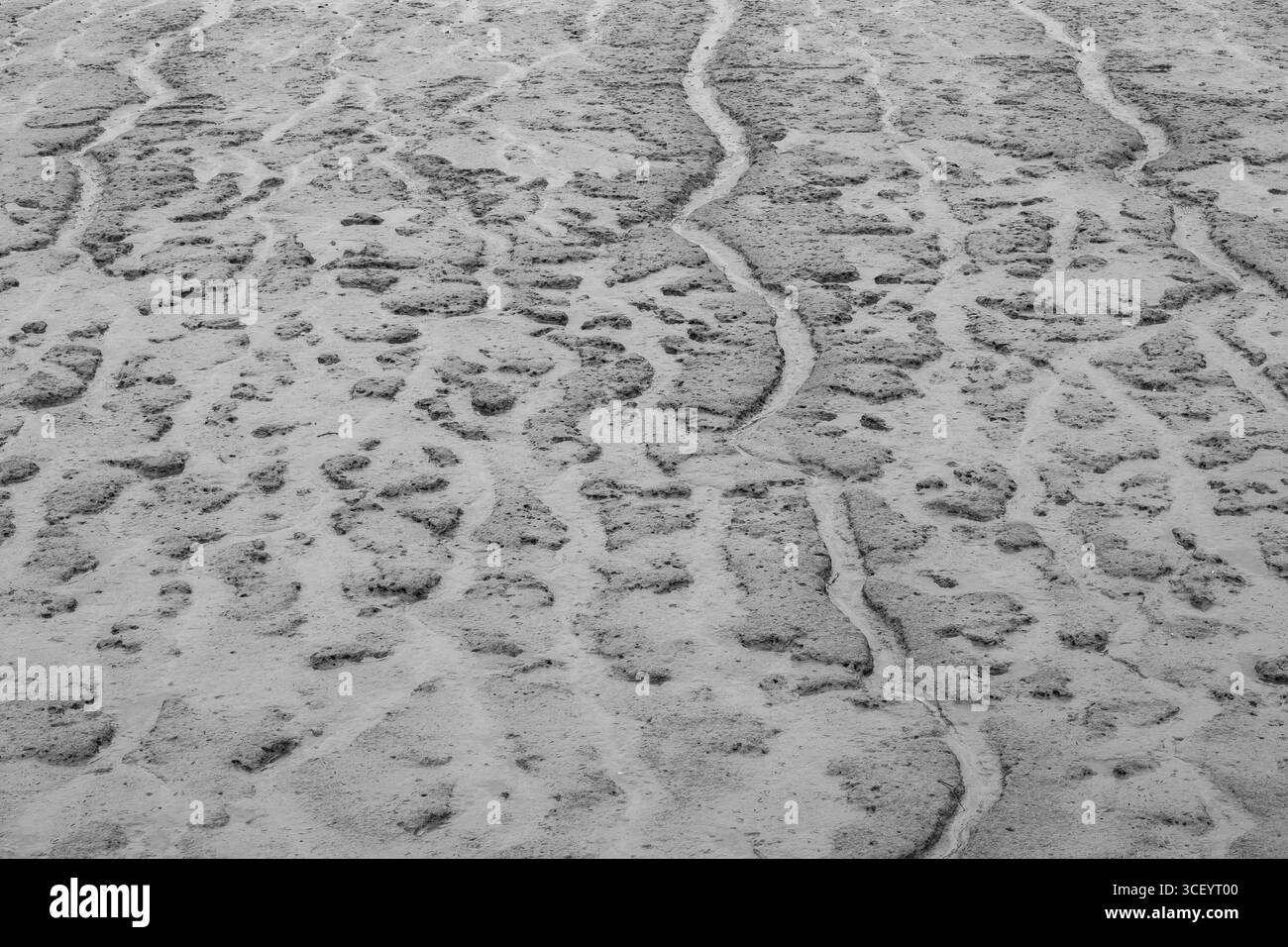 Vista dettagliata delle texture naturali e dei canali tortuosi in sabbia bagnata durante la bassa marea in bianco e nero Foto Stock