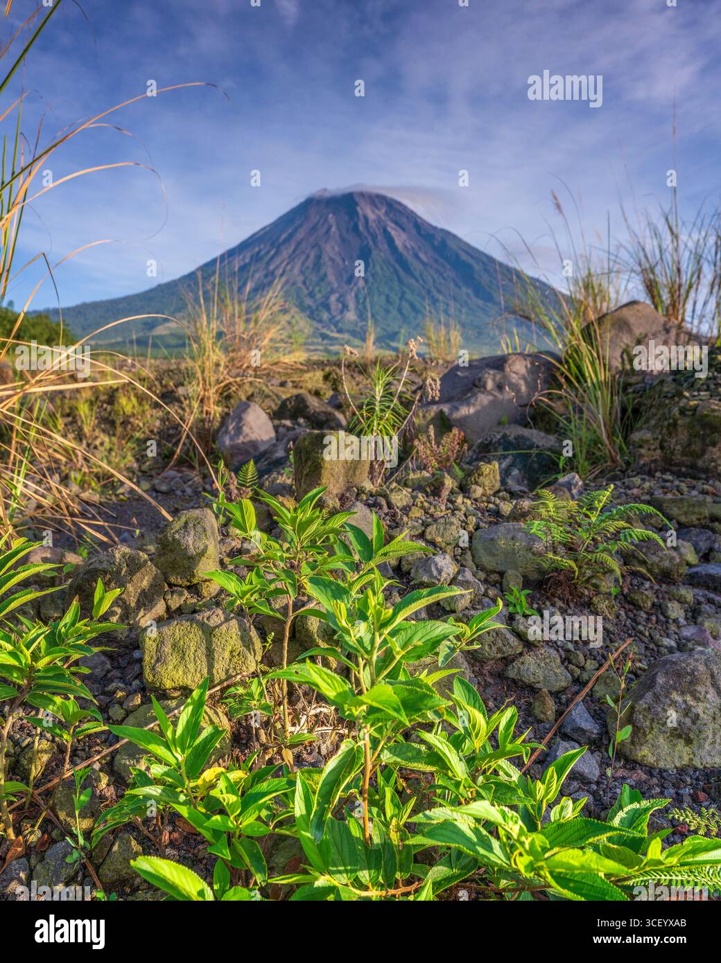 Il Monte Semeru è una destinazione maestosa e mozzafiato nell'est di Giava, caratterizzata da terreni accidentati e da una straordinaria bellezza naturale Foto Stock