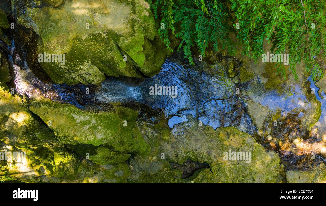 L'acqua cristallina scorre tra rocce muschiate, rivelando l'intricato design della natura in un tranquillo torrente di montagna Foto Stock
