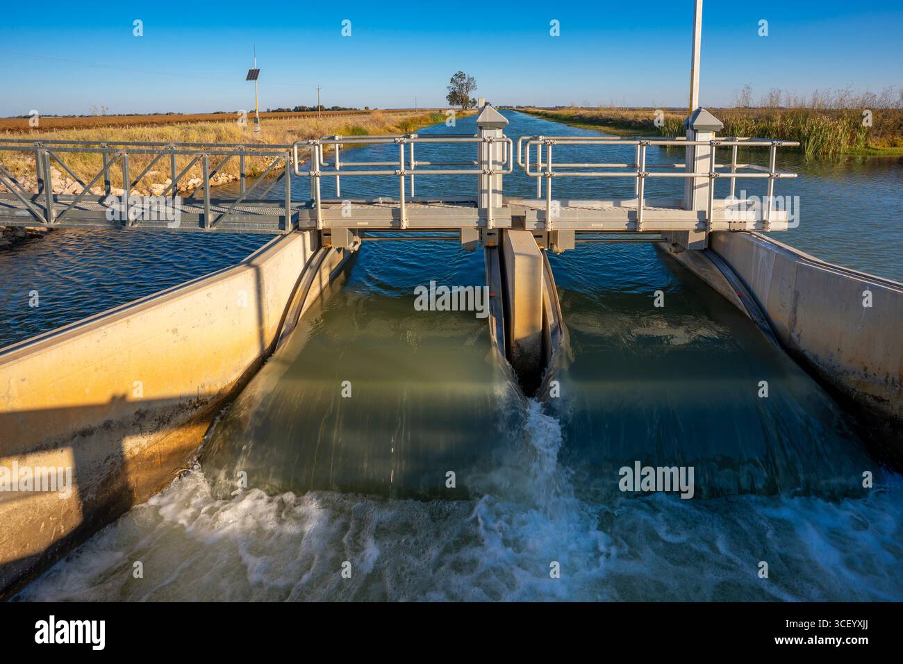 Un canale di irrigazione weir vicino a Leeton e Griffith nel nuovo Galles del Sud fa parte del Murrumbidgee Irrigation Scheme o area in Australia Foto Stock