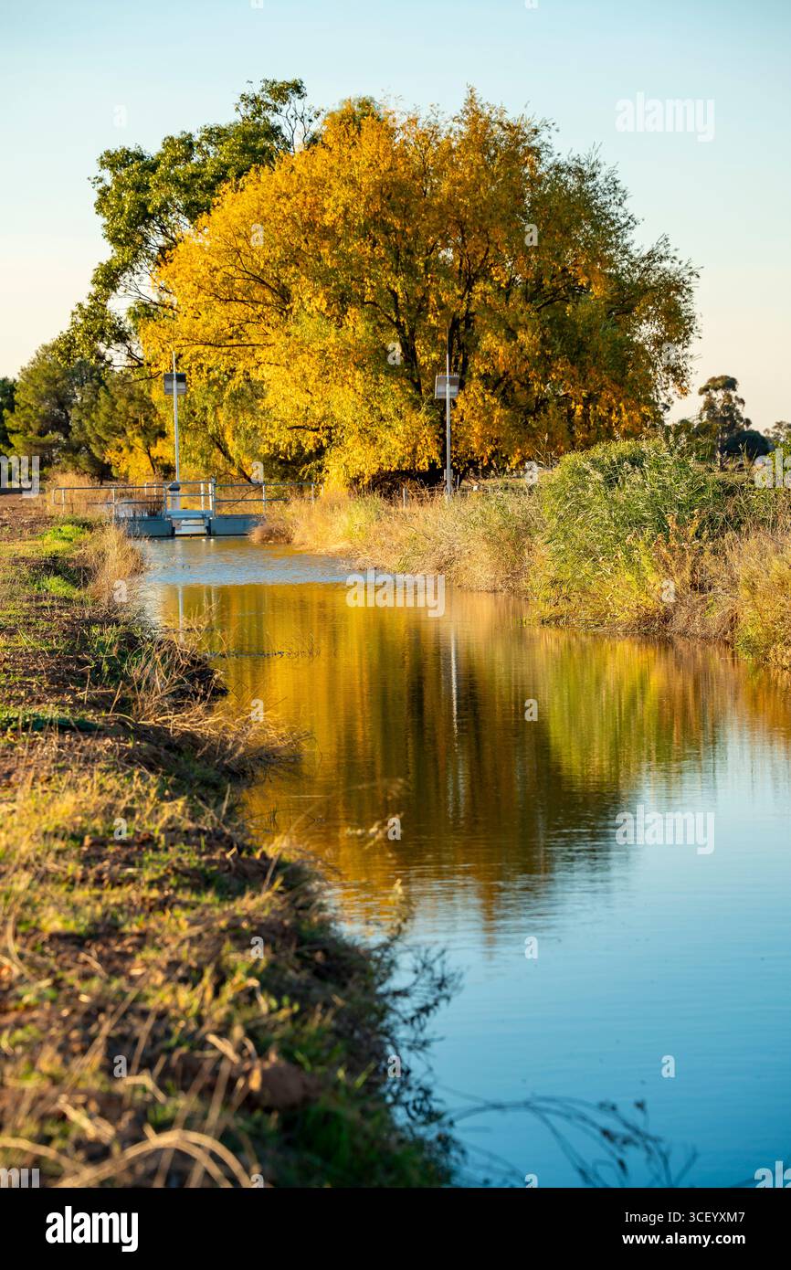 Un canale di irrigazione vicino a Leeton e Griffith nel nuovo Galles del Sud che forma parte del Murrumbidgee Irrigation Scheme o area in Australia Foto Stock