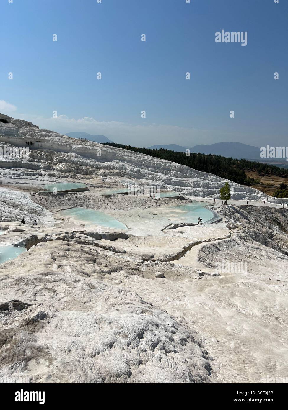 Una meraviglia naturale scolpita dall'acqua e dal tempo: Pamukkale Foto Stock