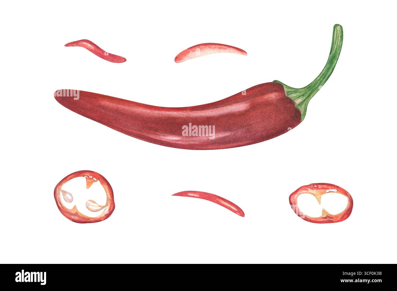 Illustrazione ad acquerello del peperoncino rosso intero e a fette su sfondo isolato. Jalapeno, serrano pianta realistica sketch clip art. Foto Stock