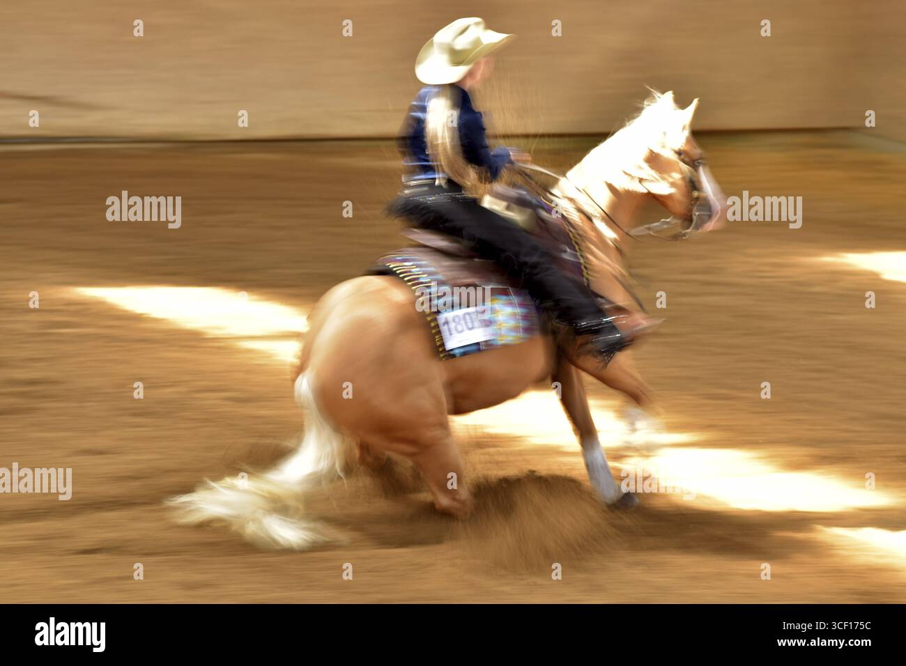 Lunga esposizione di una lezione (manovra) nella disciplina della reining (dressage occidentale) in uno spettacolo occidentale, Renania-Palatinato, Germania Foto Stock