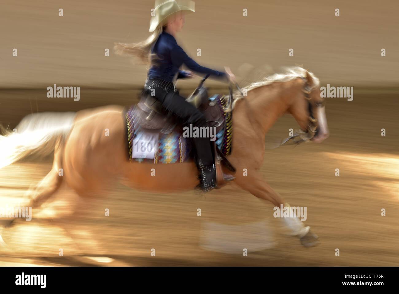 Lunga esposizione di una lezione (manovra) nella disciplina della reining (dressage occidentale) in uno spettacolo occidentale, Renania-Palatinato, Germania Foto Stock