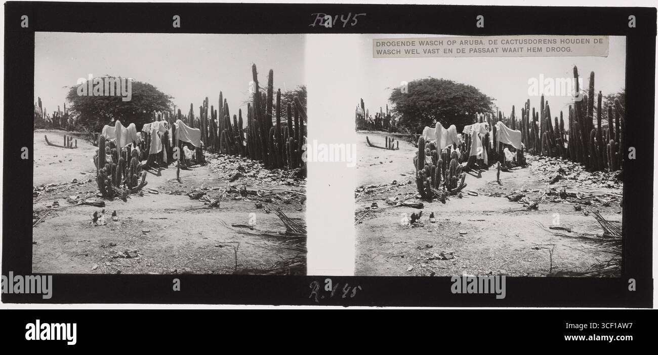 La "Stereodia" della collezione permanente del Tropenmuseum fu esposta in un armadio stereoscopico e risale al 1900-1950, con dimensioni 6 x 13 x 0,2 cm. Foto Stock