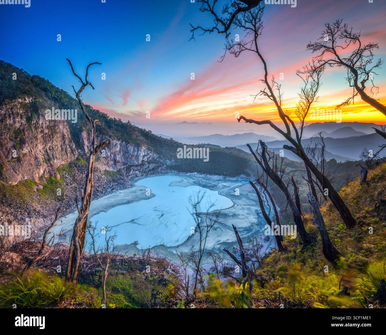 Osserva la magia del mattino nella foresta, dove la luce delicata del sole illumina la lussureggiante vegetazione, creando un'atmosfera serena e tranquilla Foto Stock