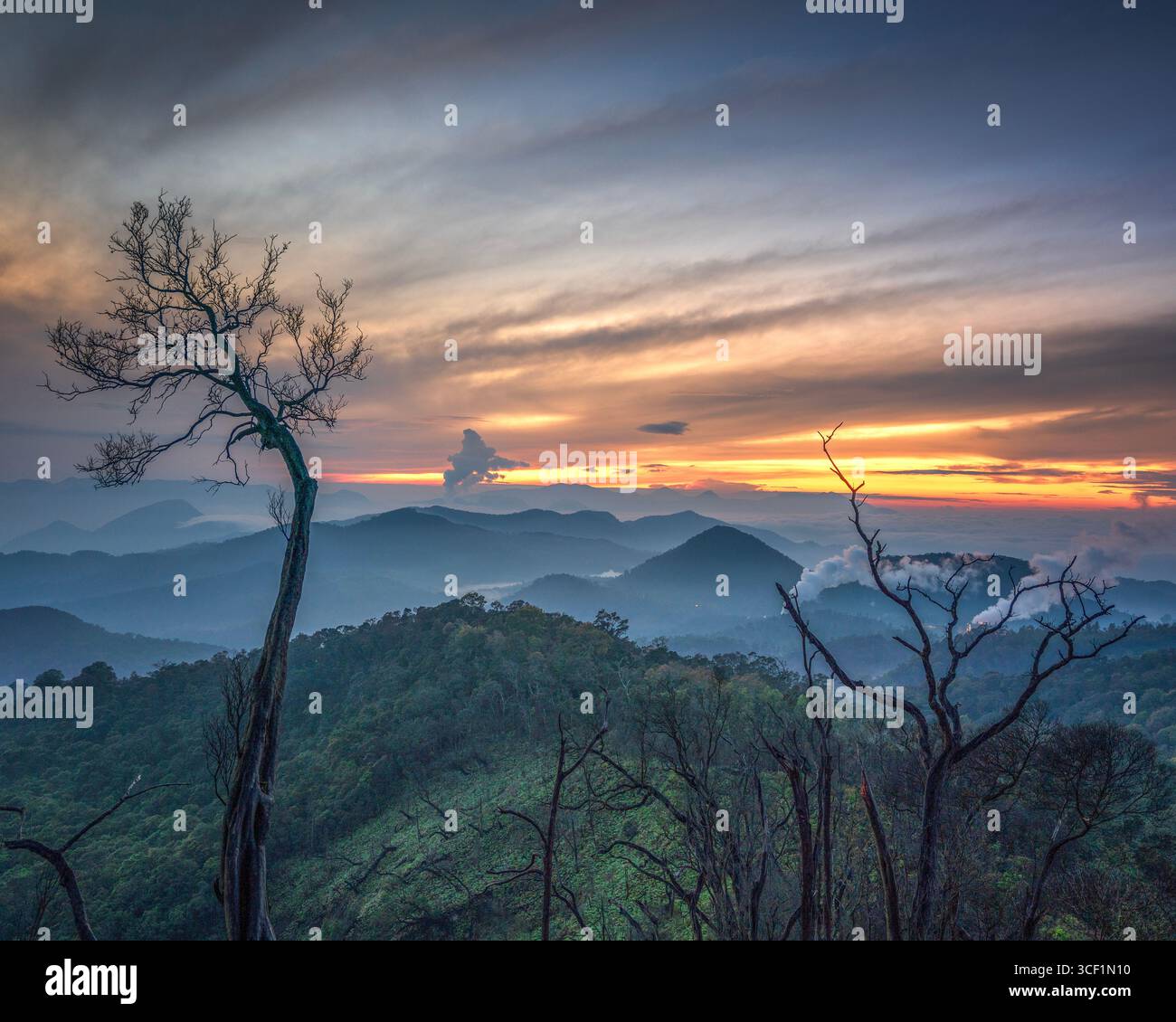 La bellezza mozzafiato del Monte Patuha all'alba, dove la luce dorata, l'aria nebbiosa e il paesaggio mozzafiato creano un'atmosfera serena e tranquilla Foto Stock
