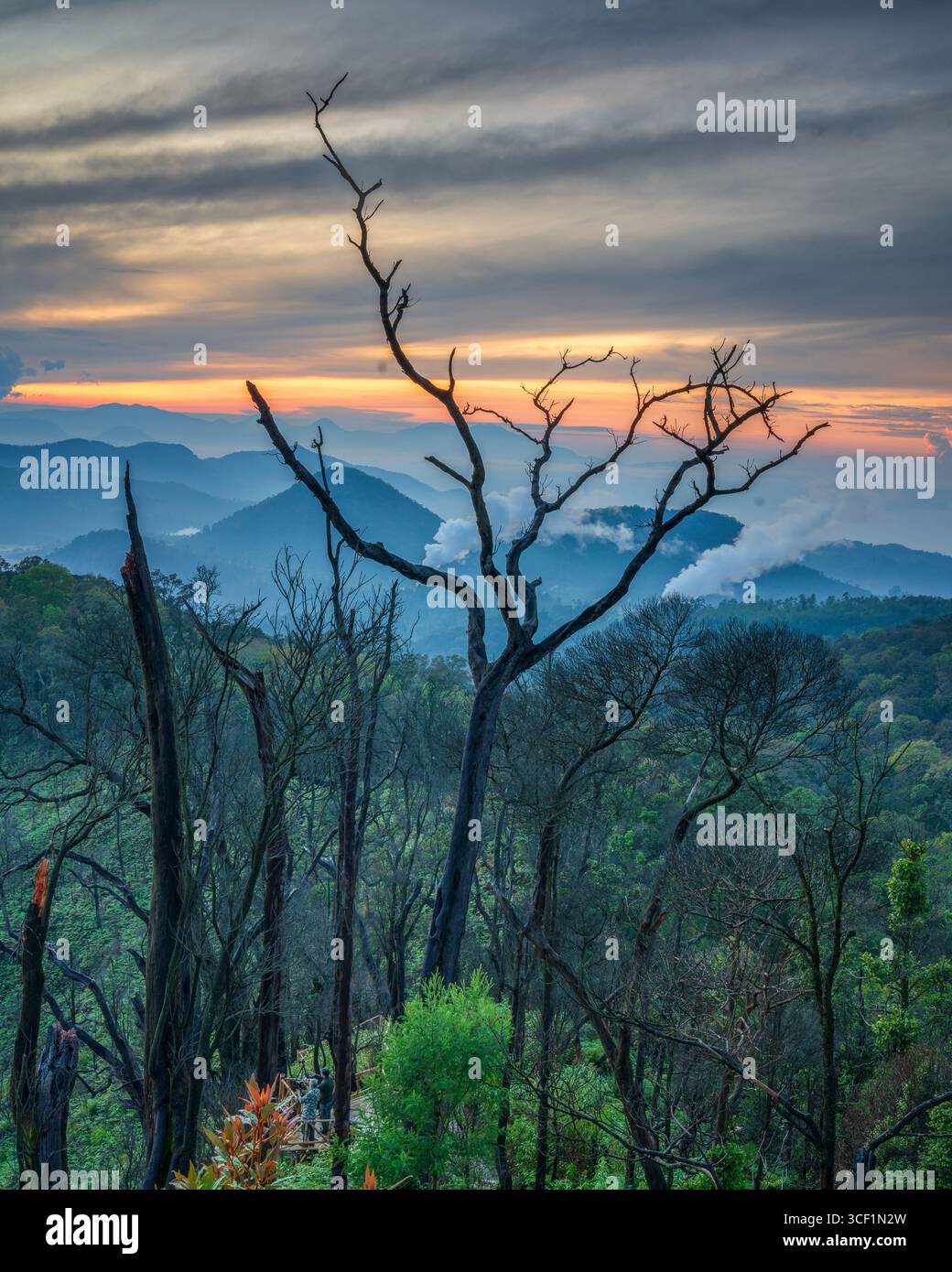 La bellezza mozzafiato del Monte Patuha all'alba, dove la luce dorata, l'aria nebbiosa e il paesaggio mozzafiato creano un'atmosfera serena e tranquilla Foto Stock