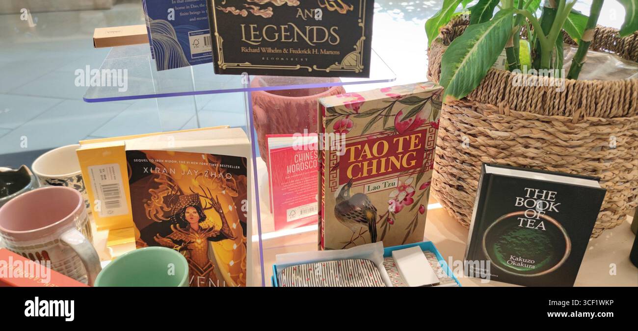Libri culturali e spirituali cinesi su uno scaffale in una libreria Foto Stock