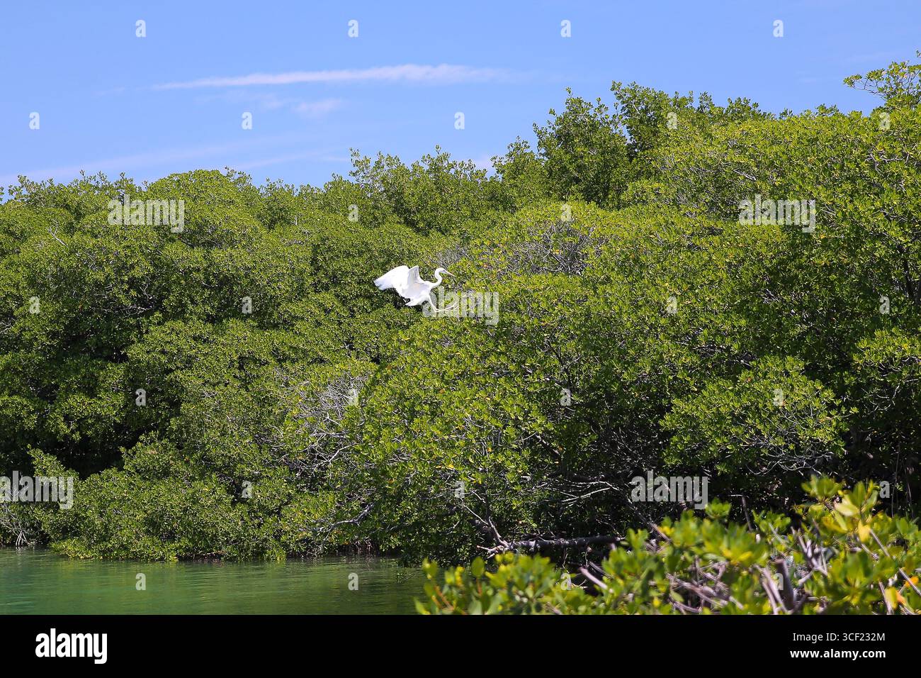 Partenza su un campo da golf di Miami Foto Stock