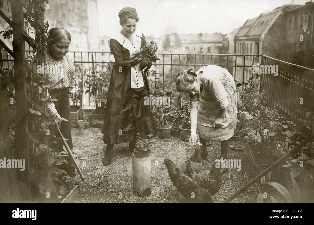 Questa fotografia del 1920 raffigura donne berlinesi che tengono i polli a casa dopo la prima guerra mondiale, riflettendo l'intraprendenza necessaria per far fronte alle conseguenze della carenza di cibo e alle sfide economiche nella Germania post-bellica. Foto Stock