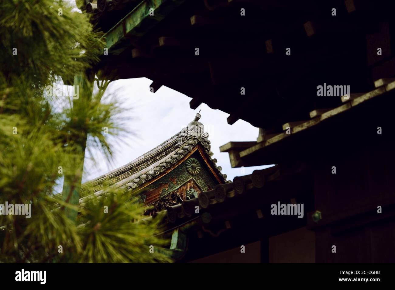Un assaggio del tetto ornato del castello Nijo incorniciato da rami di pino e grondaie di legno a Kyoto Foto Stock