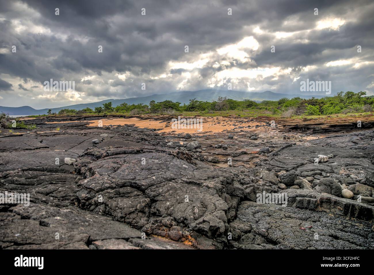 Fauna selvatica e paesaggi naturali sull'isola di Santiago nelle isole Galápagos, Ecuador. Foto Stock