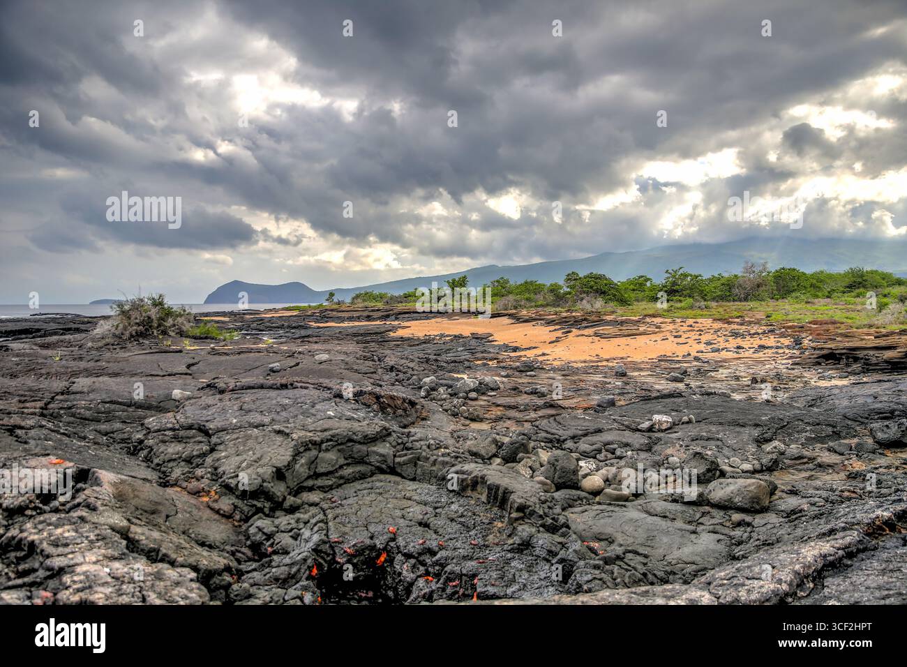 Fauna selvatica e paesaggi naturali sull'isola di Santiago nelle isole Galápagos, Ecuador. Foto Stock