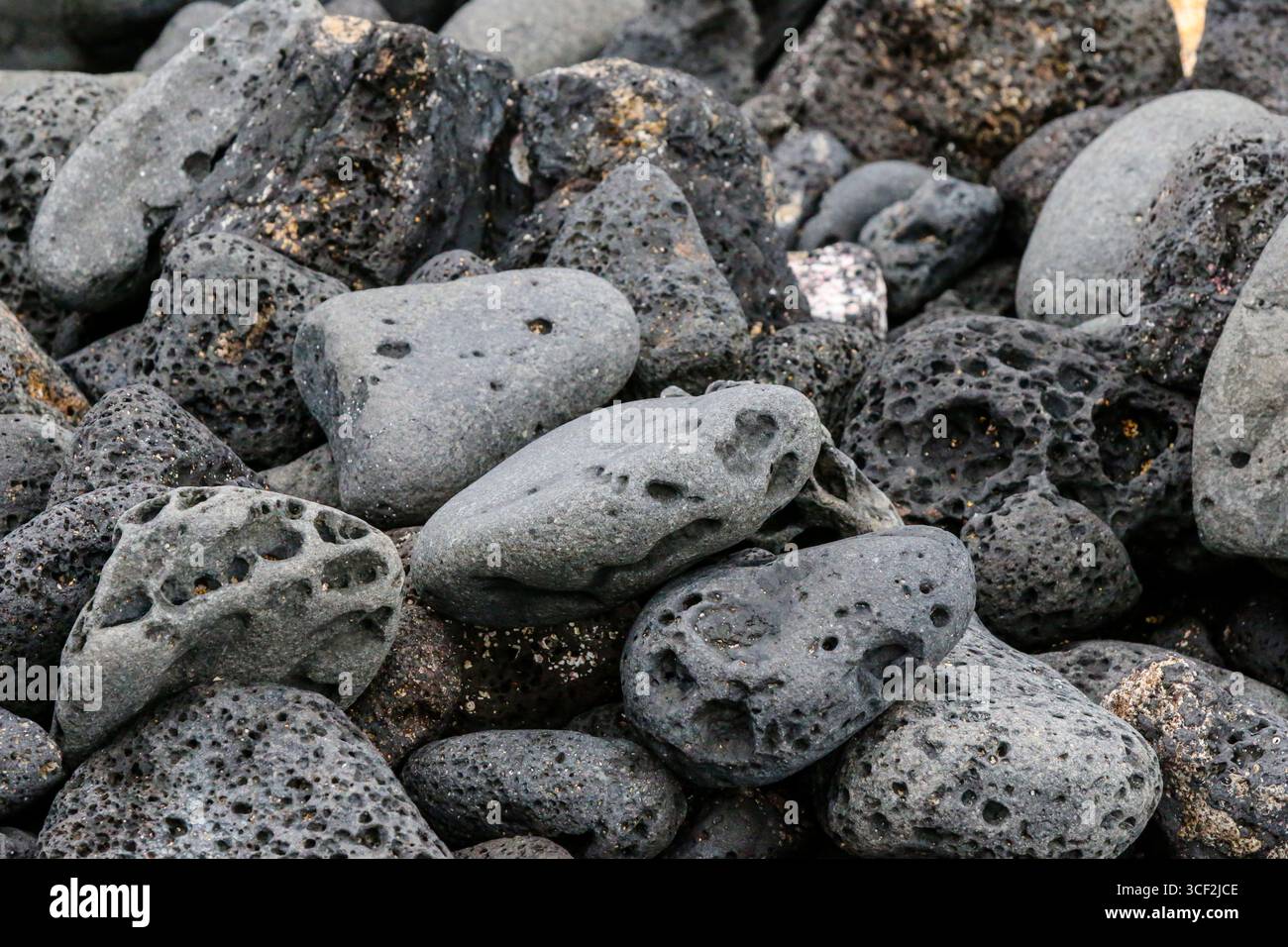 Fauna selvatica e paesaggi naturali sull'isola di Santiago nelle isole Galápagos, Ecuador. Foto Stock