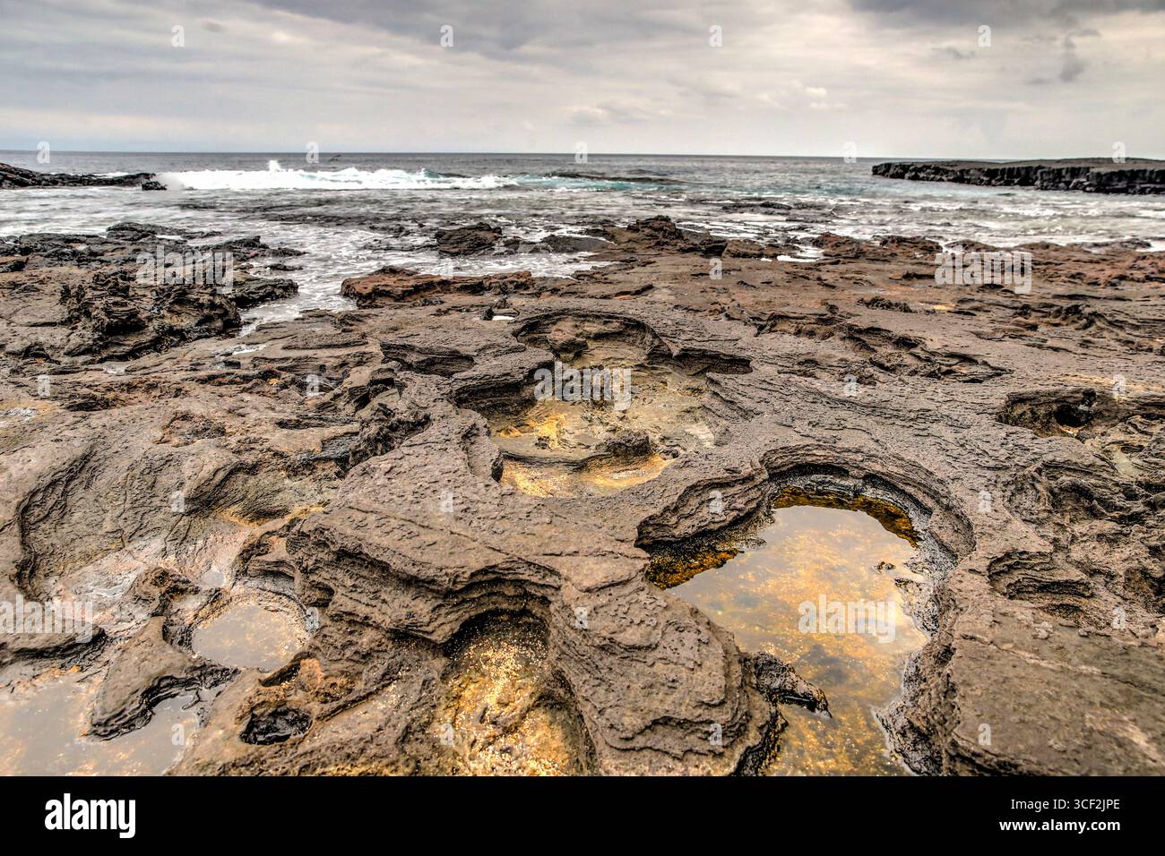 Fauna selvatica e paesaggi naturali sull'isola di Santiago nelle isole Galápagos, Ecuador. Foto Stock
