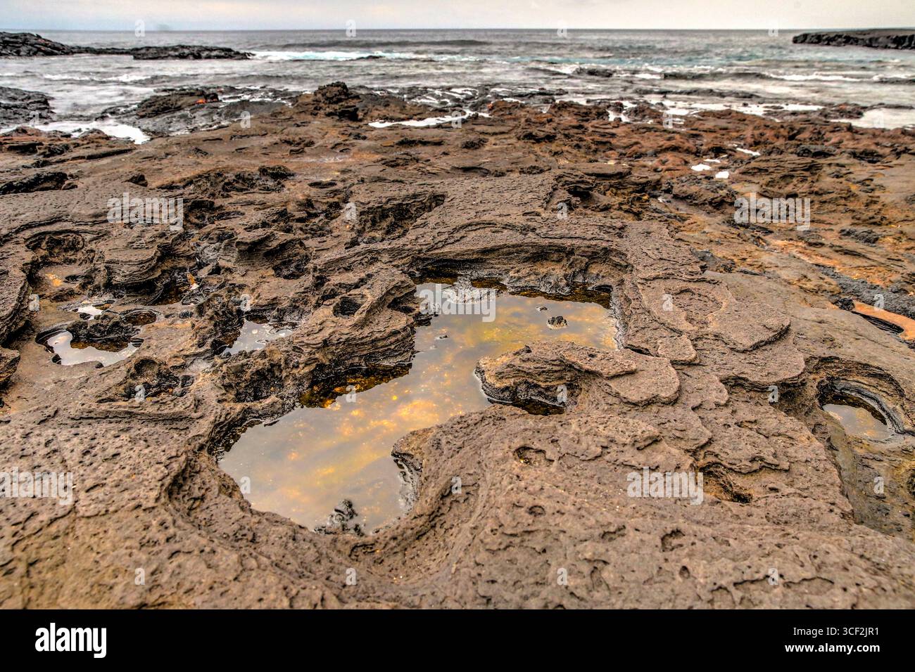 Fauna selvatica e paesaggi naturali sull'isola di Santiago nelle isole Galápagos, Ecuador. Foto Stock
