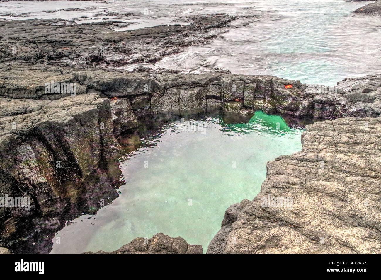 Fauna selvatica e paesaggi naturali sull'isola di Santiago nelle isole Galápagos, Ecuador. Foto Stock