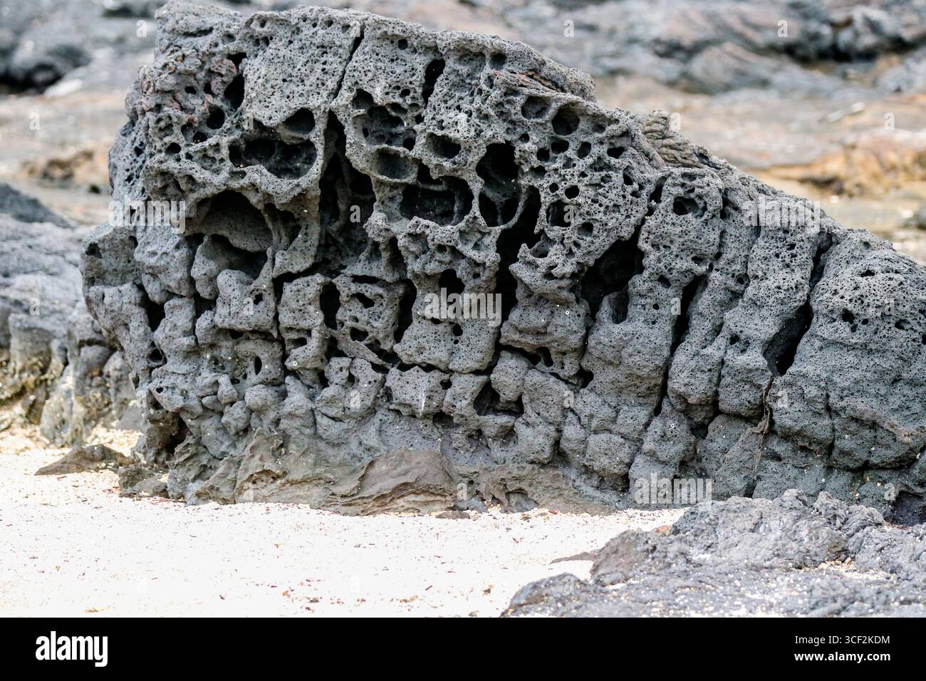 Fauna selvatica e paesaggi naturali sull'isola di Santiago nelle isole Galápagos, Ecuador. Foto Stock