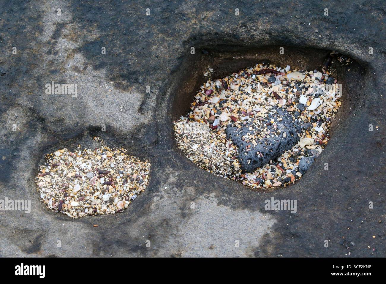 Fauna selvatica e paesaggi naturali sull'isola di Santiago nelle isole Galápagos, Ecuador. Foto Stock
