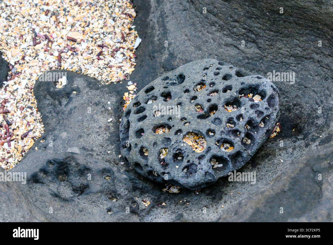 Fauna selvatica e paesaggi naturali sull'isola di Santiago nelle isole Galápagos, Ecuador. Foto Stock