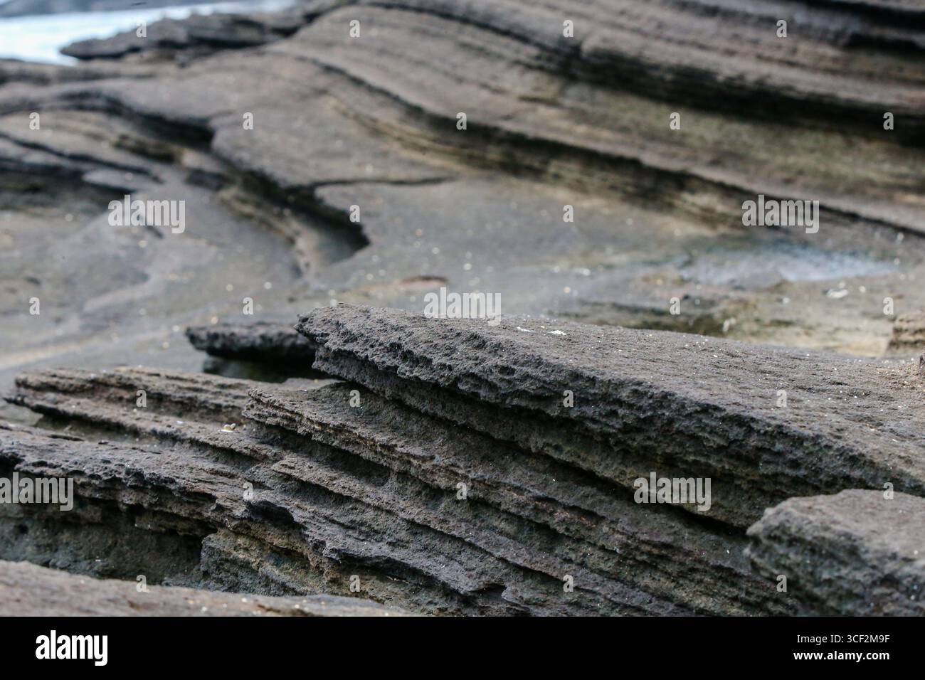 Fauna selvatica e paesaggi naturali sull'isola di Santiago nelle isole Galápagos, Ecuador. Foto Stock