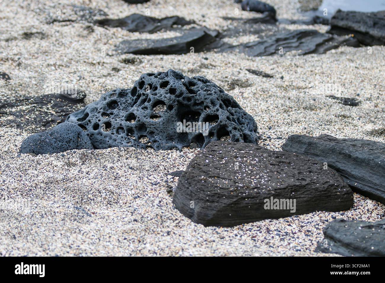Fauna selvatica e paesaggi naturali sull'isola di Santiago nelle isole Galápagos, Ecuador. Foto Stock