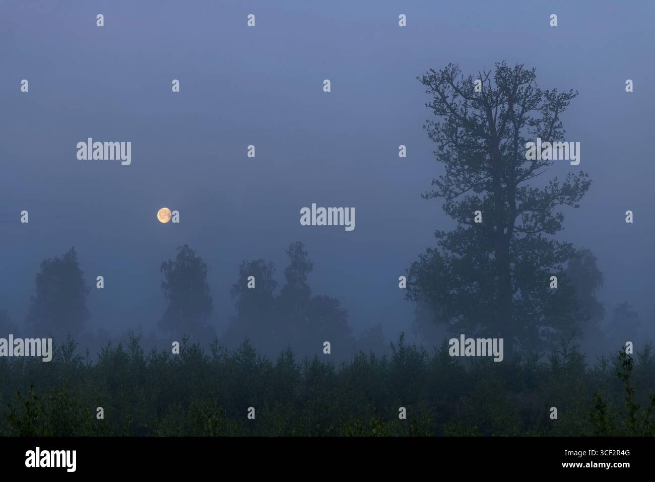 Paesaggio, natura, atmosfera foschia e nebbia Foto Stock