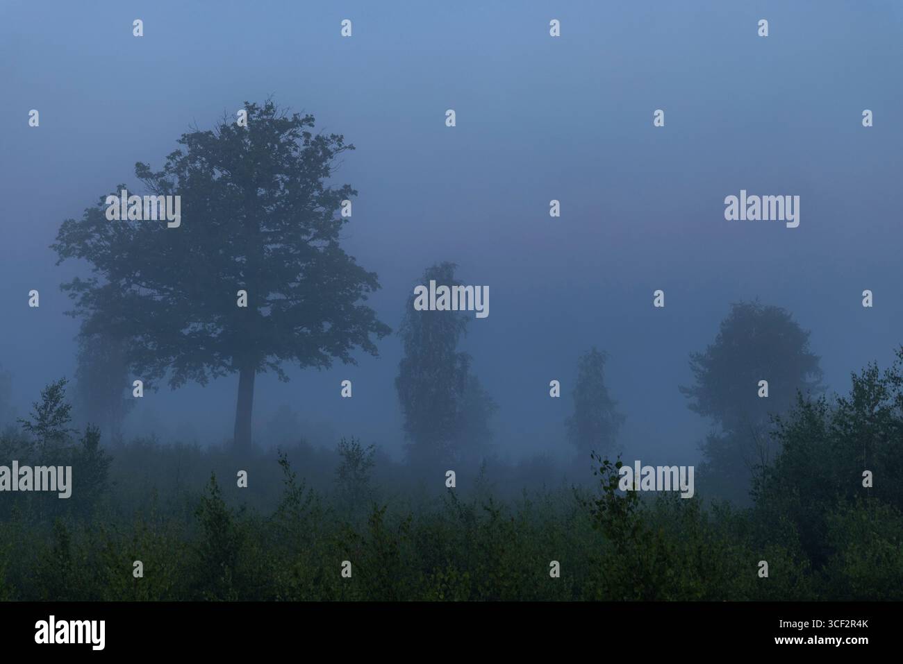 Paesaggio, natura, atmosfera foschia e nebbia Foto Stock