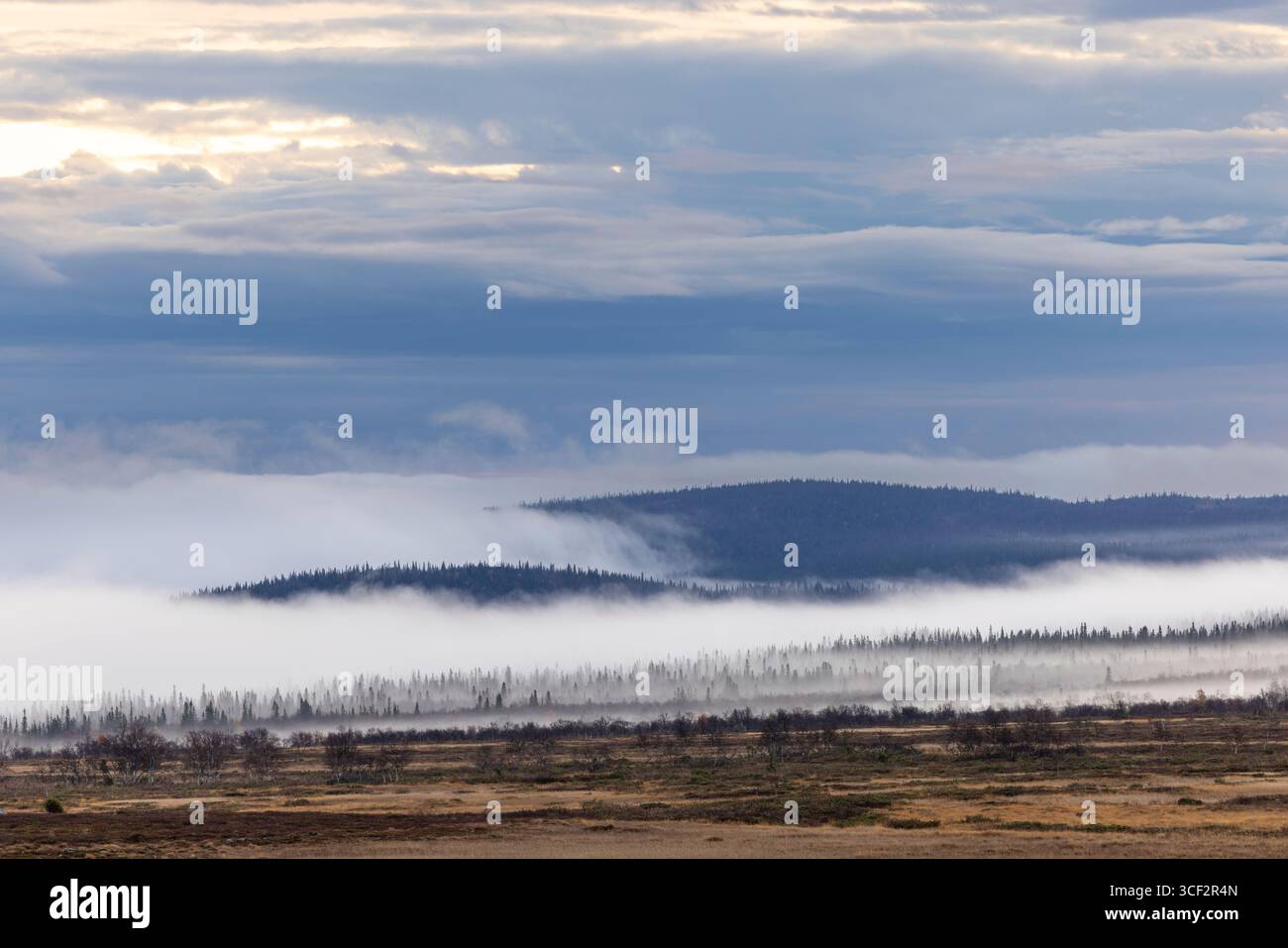 Paesaggio, natura, atmosfera foschia e nebbia Foto Stock