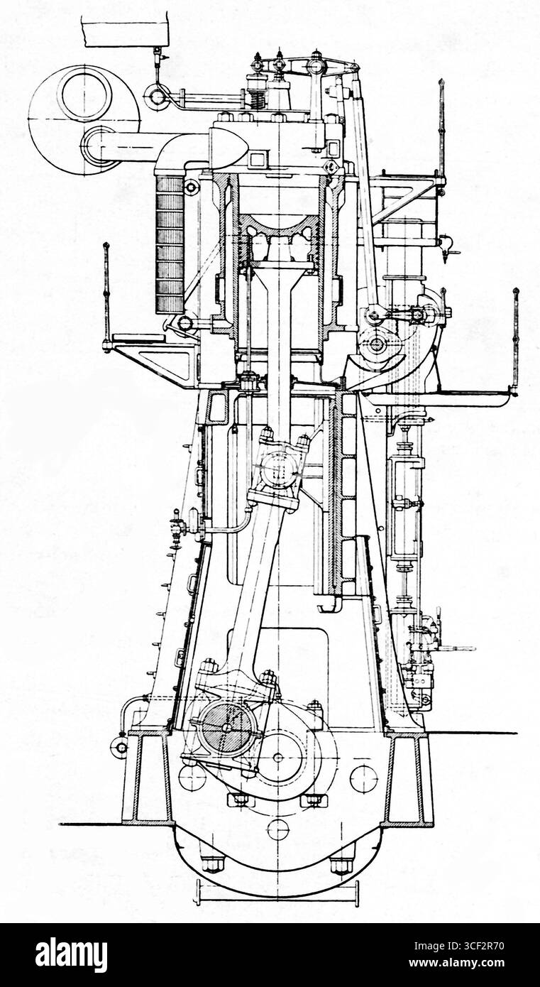 L'immagine mostra una sezione verticale di un motore diesel della nave svedese "Fionia". Costruito dalla Burmeister & Wain a Glasgow, il motore faceva parte del sistema di propulsione della nave. Foto Stock