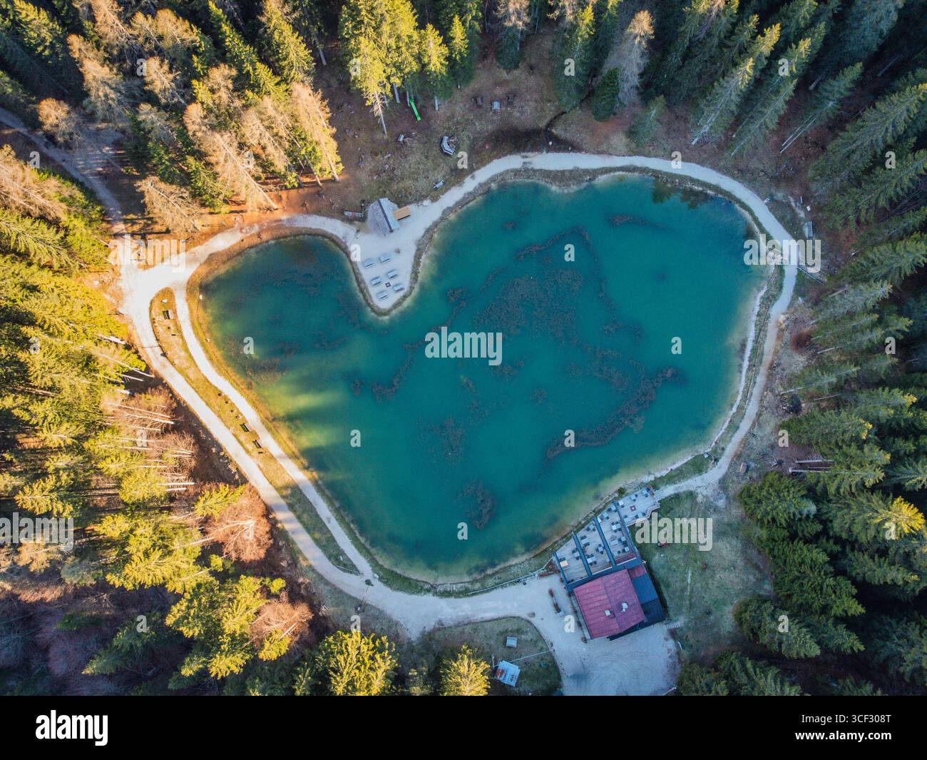 Veduta aerea del Lago Pianozes, un piccolo lago alpino circondato da una fitta foresta di conifere vicino a Cortina d'Ampezzo, alle Dolomiti, alla provincia di Belluno, alla regione Veneto, all'Italia nord-orientale Foto Stock
