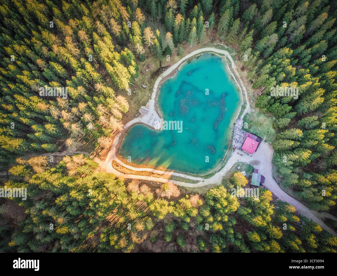 Veduta aerea del Lago Pianozes, un piccolo lago alpino circondato da una fitta foresta di conifere vicino a Cortina d'Ampezzo, alle Dolomiti, alla provincia di Belluno, alla regione Veneto, all'Italia nord-orientale Foto Stock