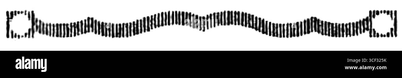 Una grafica del libro polacco del 1927 "PL", creata da un artista anonimo. Foto Stock