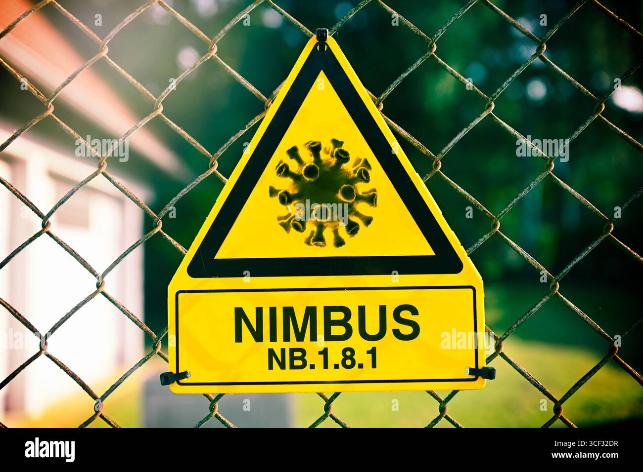 Nuova variante corona Nimbus NB.1,8.1, foto simbolo, fotomontaggio Foto Stock