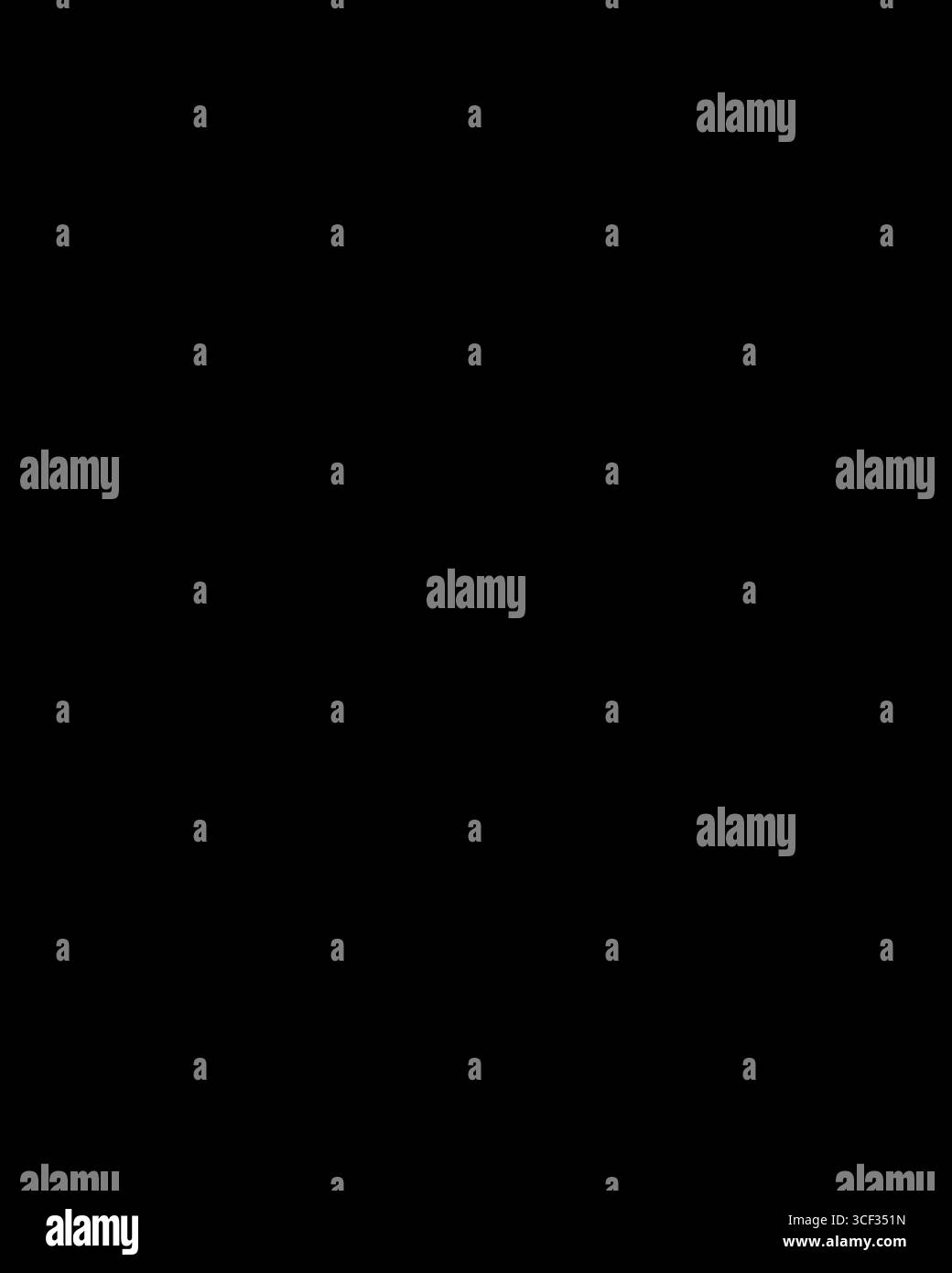 Illustrazione tratta dalla pubblicazione *o heraldyce czyli znajomo herbownictwa* di Jan Karol Kochanowski del 1902, che dimostra la complessità dei disegni araldici e il loro significato storico. Foto Stock