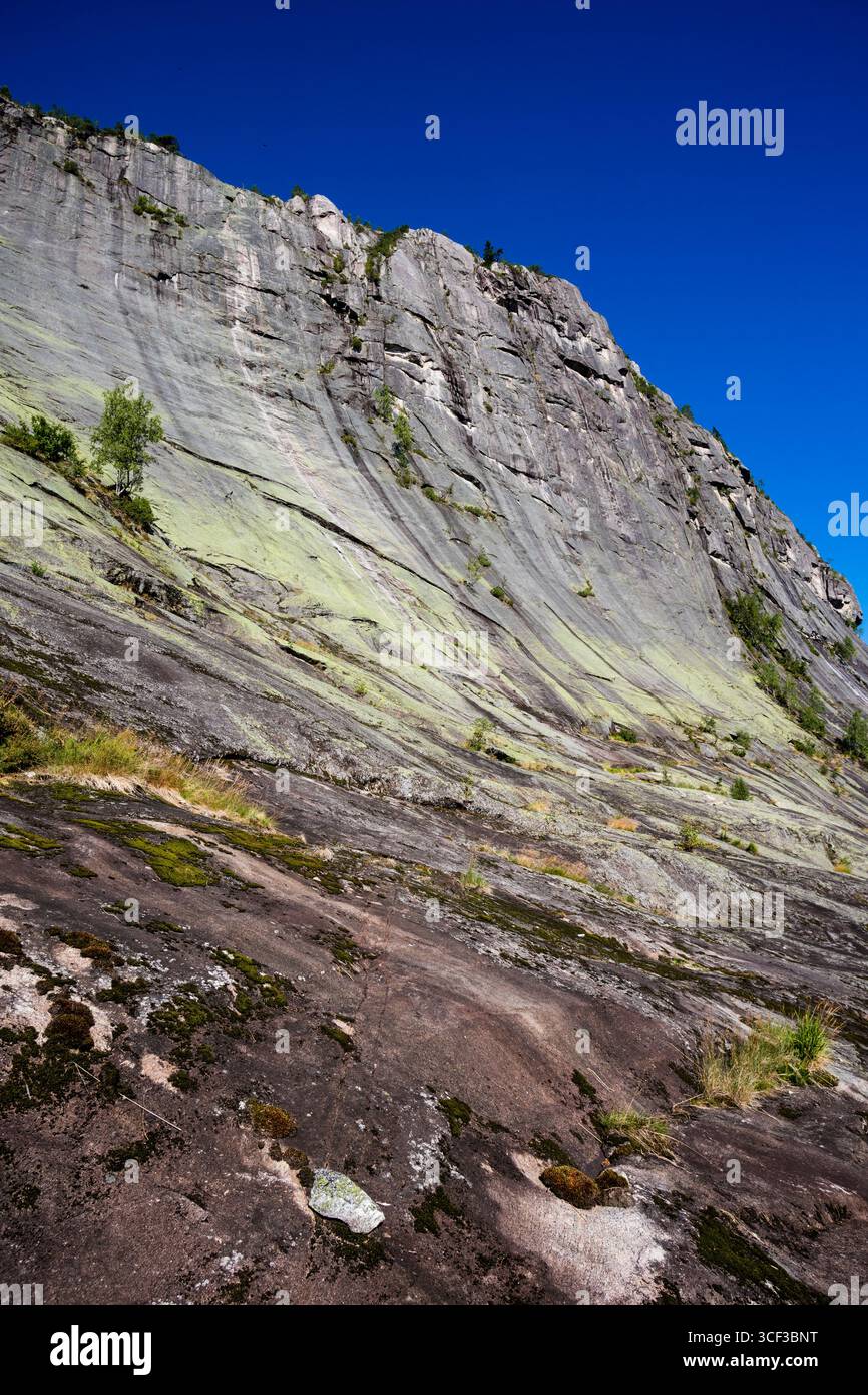 Agosto luce solare diurna sul versante ripido del monte Andersnatten, 733 m, Nedre Eggedal, Buskerud, Norvegia, Scandinavia. Foto Stock