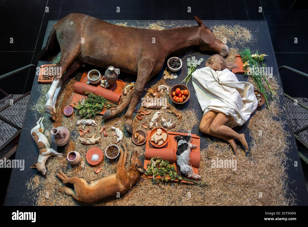 Replica della camera sepolcrale sotto il tumulo di Grijpen al museo Het Toreke con reperti gallo-romani nella città di Tienen, Brabante fiammingo, Belgio Foto Stock