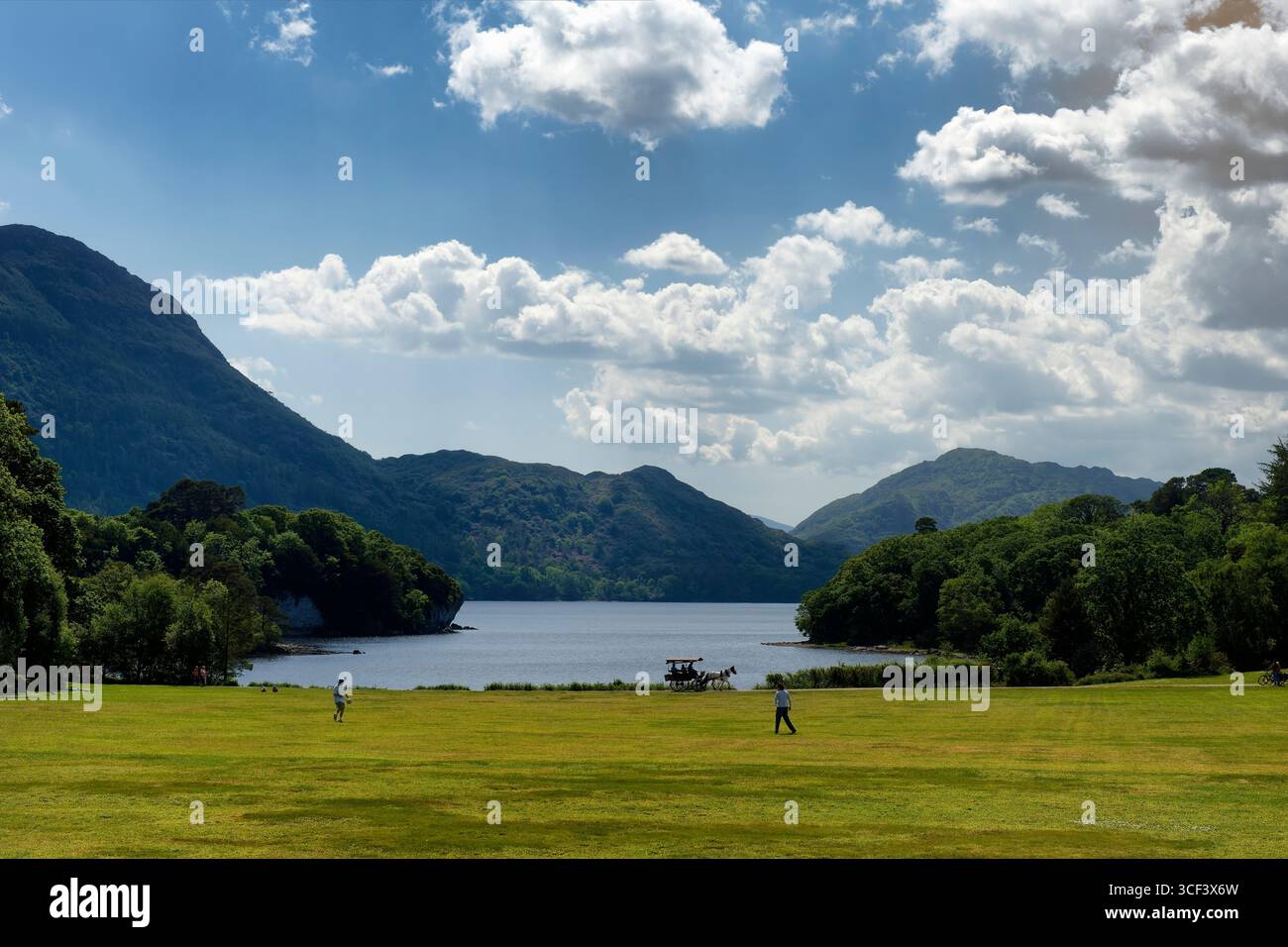 Vista del parco e del lago Muckross a Muckross House, Provincia di Munster, Parco Nazionale di Killarney, Killarney, Contea di Kerry, Irlanda Foto Stock