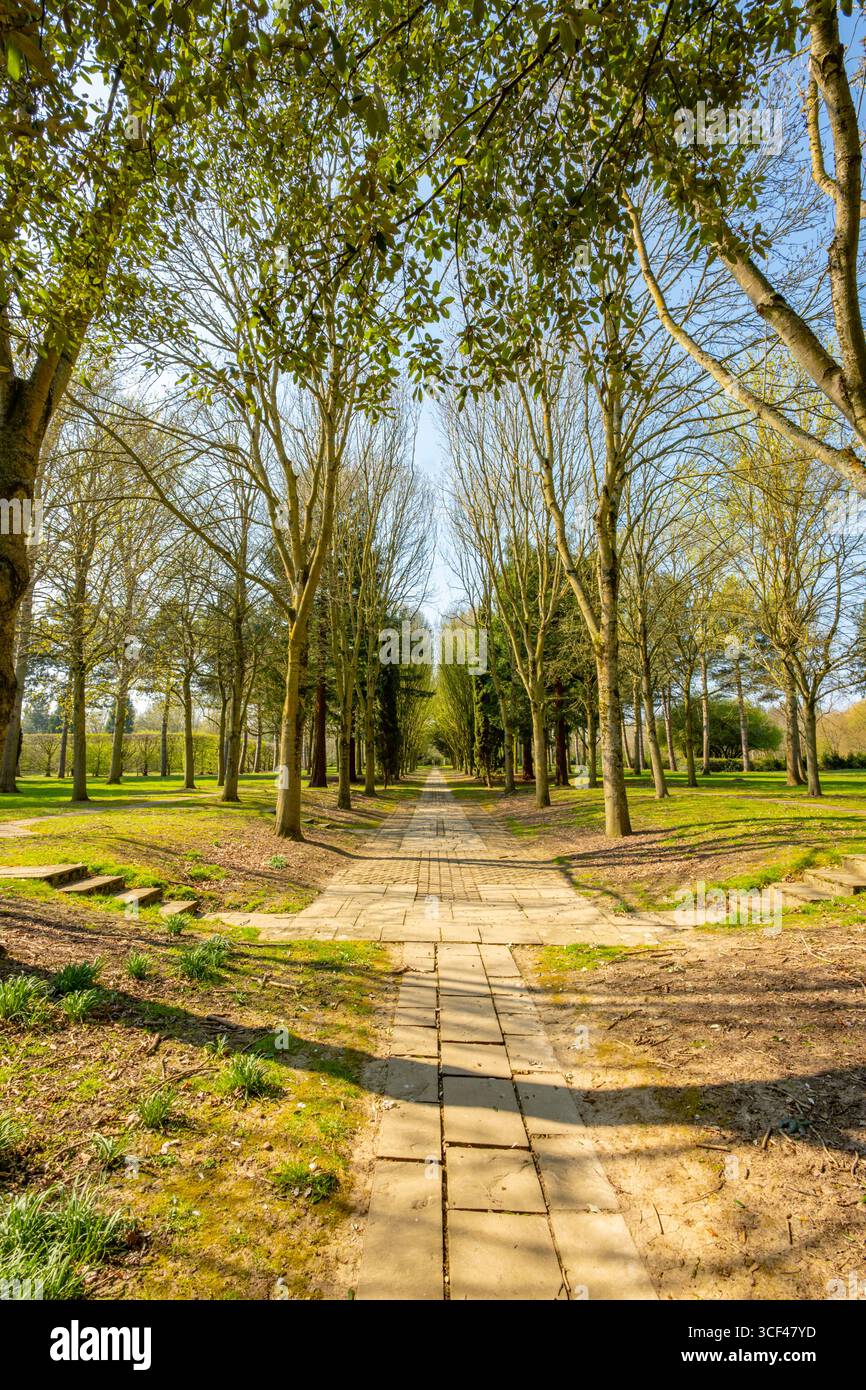 La cattedrale sull'albero di Milton Keynes in una giornata di primavera assolata Foto Stock