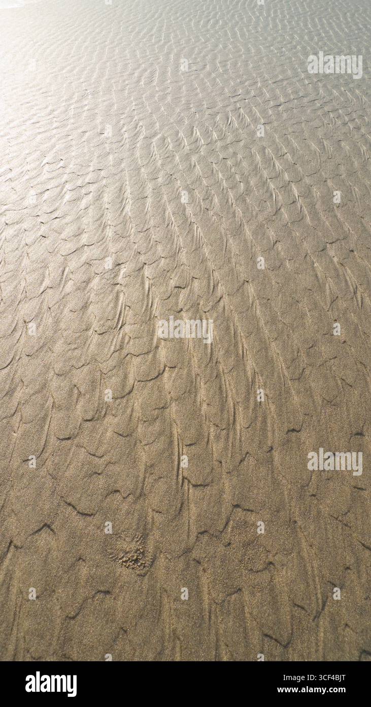 I modelli in sabbia bagnata con la bassa marea, Cape Lookout State Park, Tillamook County, Oregon, Stati Uniti d'America Foto Stock