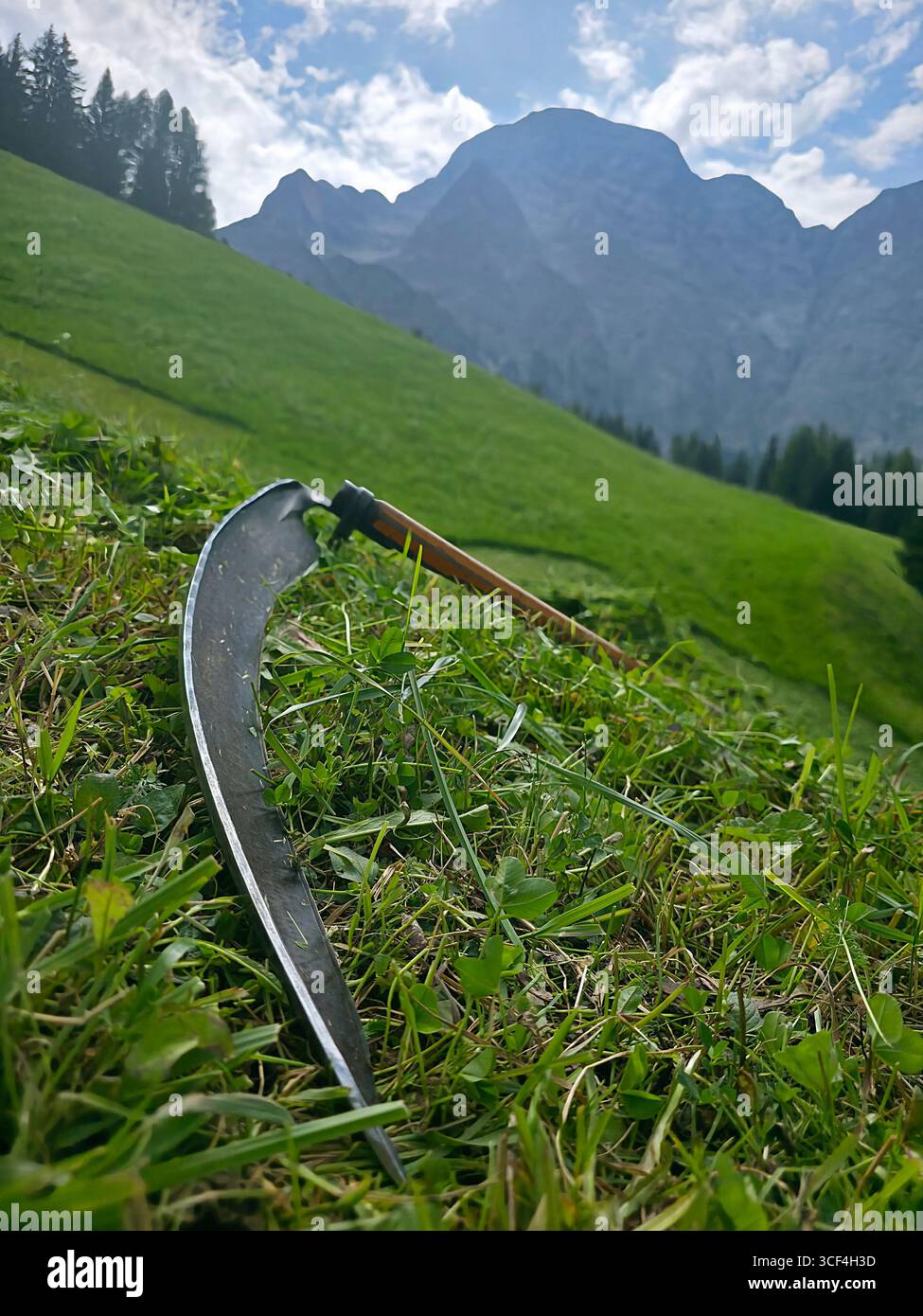 Un'antica falce per il taglio dell'erba sul campo di erba delle dolomiti Foto Stock