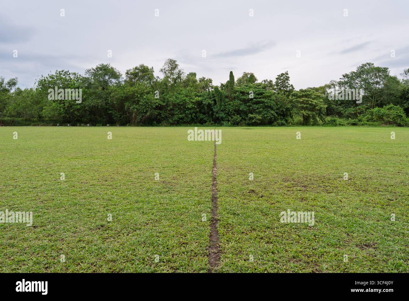 Grande campo erboso con una linea centrale che conduce verso una fitta foresta. Foto Stock