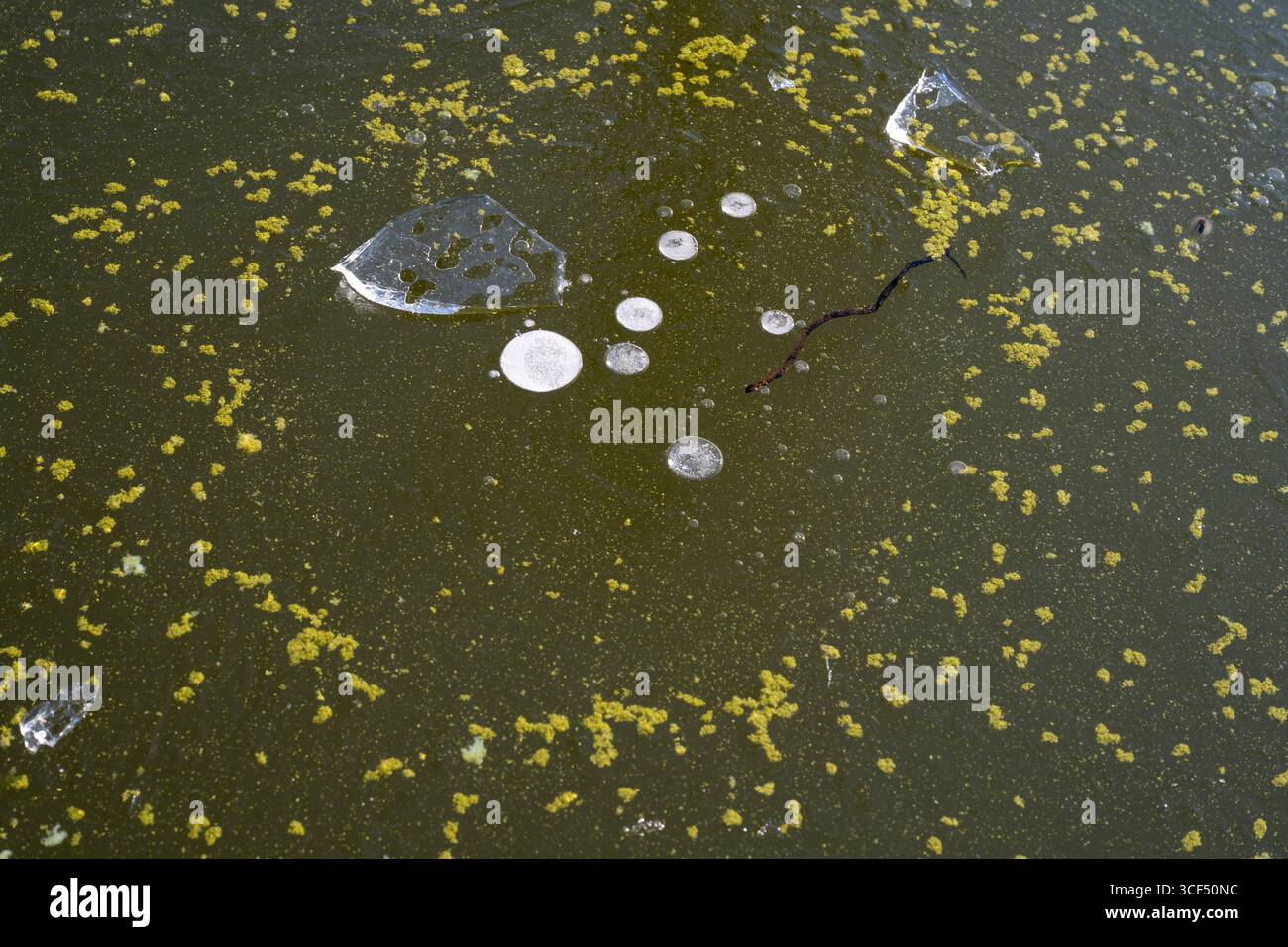 Superficie ghiacciata con pezzi di ghiaccio e strutture Foto Stock