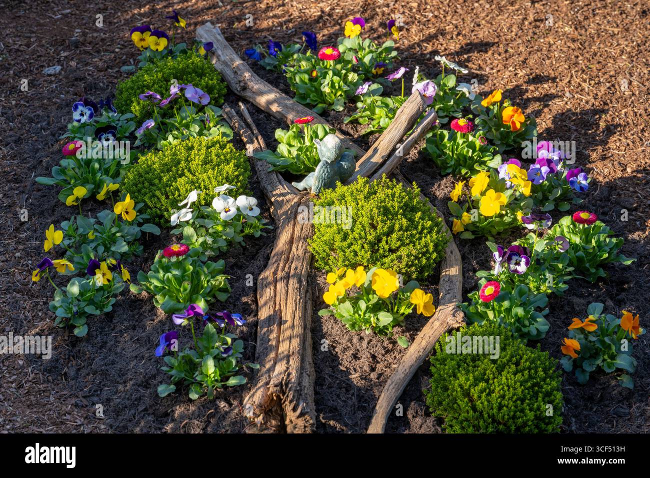 Piccolo letto di fiori con pansie (Viola) e decorazioni, corteccia di pino intorno all'esterno Foto Stock
