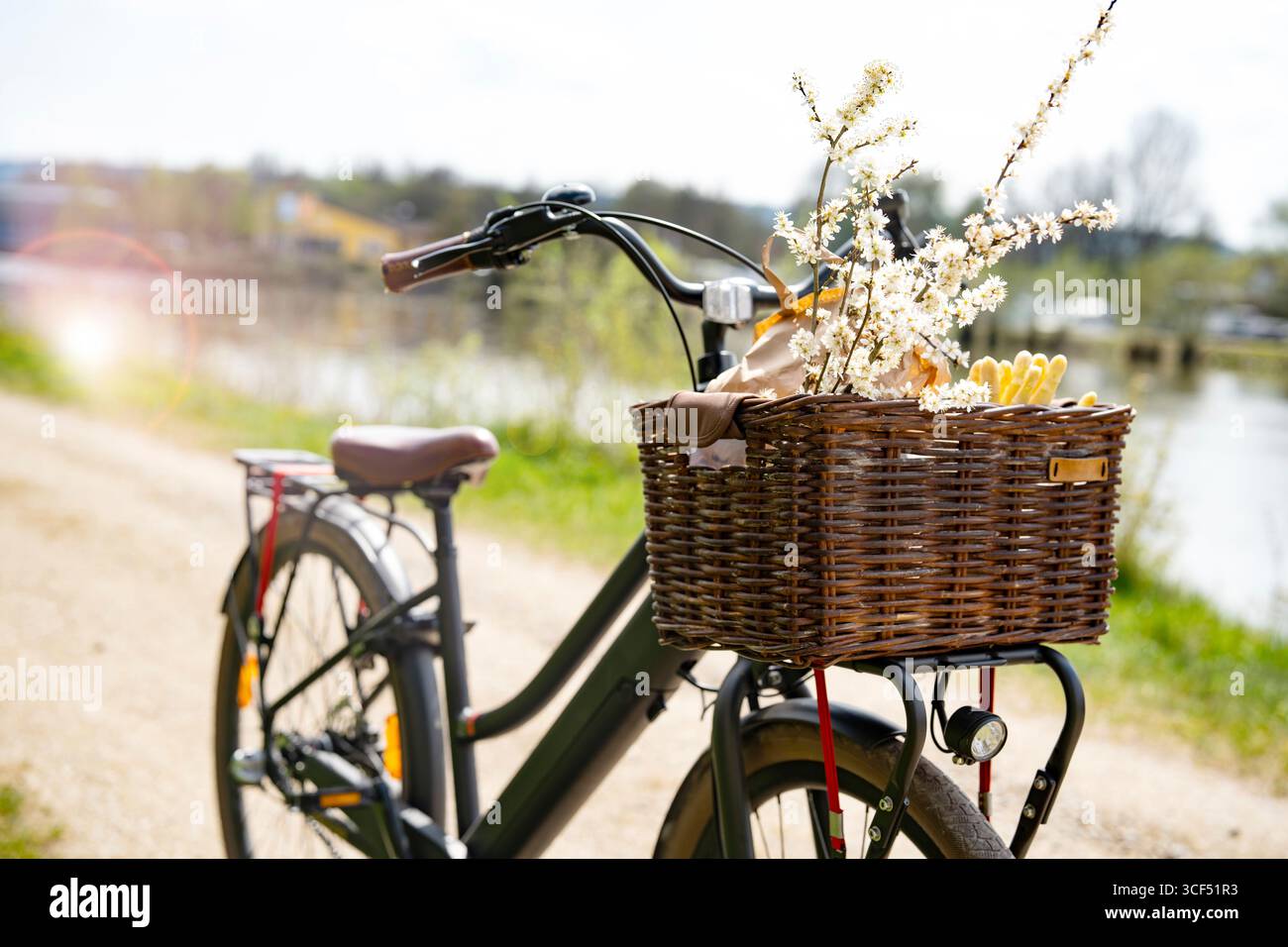 Asparagi bianchi locali freschi dal mercato in un cestino per biciclette. Verdure sane e fiori primaverili. Sfondo per lo shopping locale sul mercato con la bicicletta. Foto Stock
