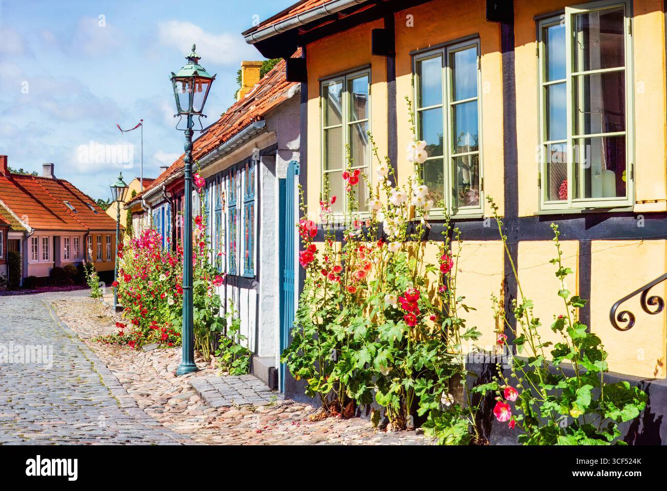 L'affascinante strada acciottolata presenta case colorate con vibranti fiori holluhock e lampioni da strada vintage, che esaltano l'atmosfera invitante del c Foto Stock