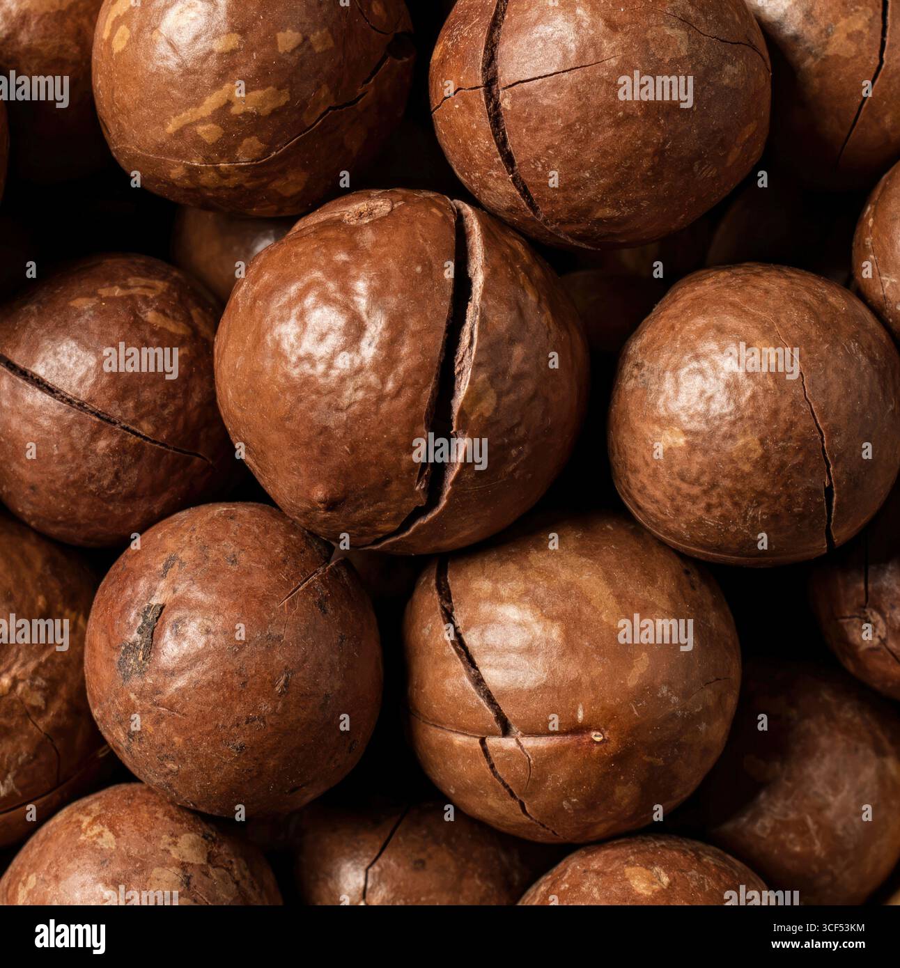 Primo piano di noci di macadamia che formano uno sfondo testurizzato, ideale per immagini di cibi e bevande Foto Stock